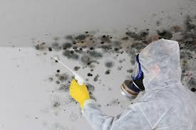 Best Industrial Mold Remediation  in Bowling Green, FL